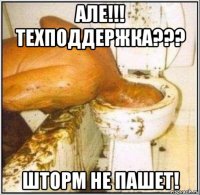 але!!! техподдержка??? шторм не пашет!