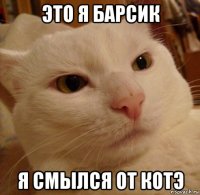 это я барсик я смылся от котэ