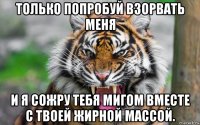 только попробуй взорвать меня и я сожру тебя мигом вместе с твоей жирной массой.