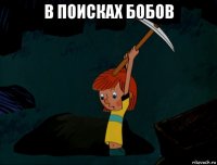 в поисках бобов 