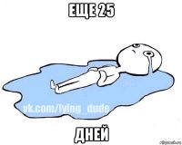 еще 25 дней