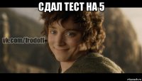 сдал тест на 5 