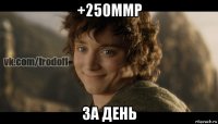 +250ммр за день