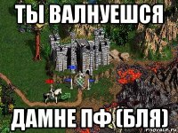 ты валнуешся дамне пф (бля)