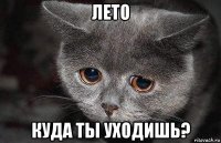 лето куда ты уходишь?