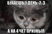 бухаешь 1 день, 2, 3 а на 4 чет приуныл