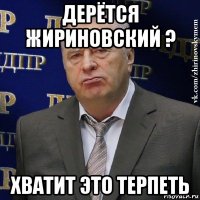 дерётся жириновский ? хватит это терпеть