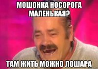 мошонка носорога маленькая? там жить можно лошара