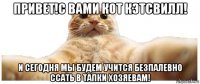 привет!с вами кот кэтсвилл! и сегодня мы будем учится безпалевно ссать в тапки хозяевам!