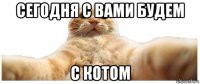 сегодня с вами будем с котом