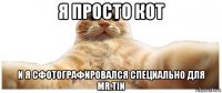 я просто кот и я сфотографировался специально для mr.tin