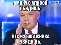 амину с алисой обидишь. лес из багажника увидишь.