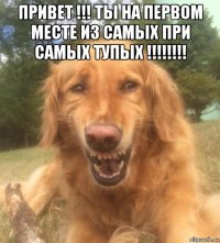 привет !!! ты на первом месте из самых при самых тупых !!!!!!!! 