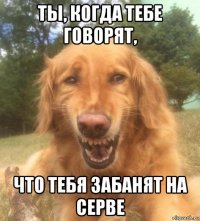 ты, когда тебе говорят, что тебя забанят на серве