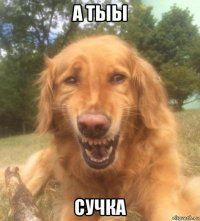 а тыы сучка