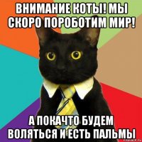 внимание коты! мы скоро пороботим мир! а покачто будем воляться и есть пальмы