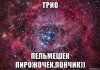 трио пельмешек пирожочек,пончик))