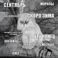 Сентябрь Лету конец Скоро зима Снег На природу разок только съездили Морозы Лето через 9 месяцев Снова депрессия Как жить 