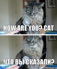 How are you? cat Что вы сказали?