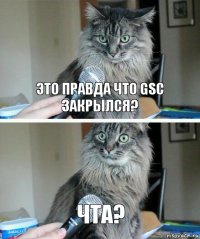 Это правда что GSC закрылся? Чта?