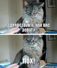 Здравствуйте, как вас зовут? Лох!