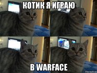 котик я играю в warface