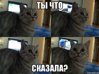 ты что сказалa?