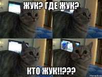 жук? где жук? кто жук!!???