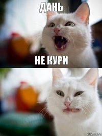 Дань не кури