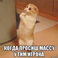  когда просиш массу у тим игрока