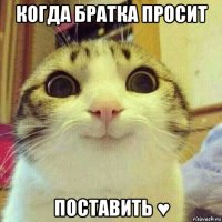 когда братка просит поставить ♥