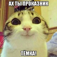 ах ты проказник тёмка!