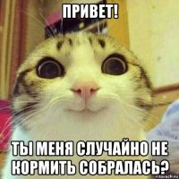 привет! ты меня случайно не кормить собралась?