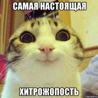 самая настоящая хитрожопость