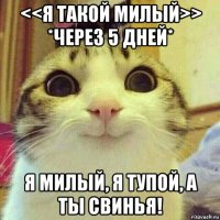 <<я такой милый>> *через 5 дней* я милый, я тупой, а ты свинья!