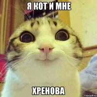 я кот и мне хренова