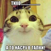 тихо..................... а то насру в тапки!