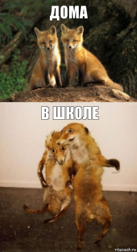 Дома В школе