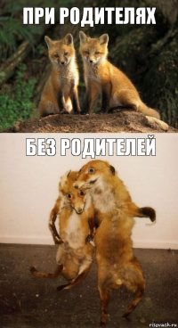 При родителях Без родителей