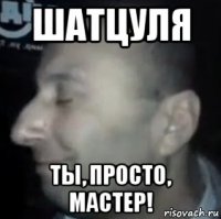 шатцуля ты, просто, мастер!