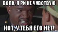 волк, я ри не чувствую кот, у тебя его нет!