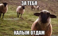 за тебя калым отдам