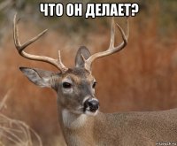 что он делает? 