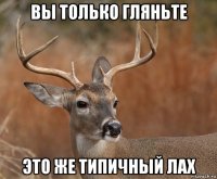 вы только гляньте это же типичный лах