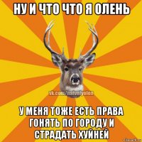 ну и что что я олень у меня тоже есть права гонять по городу и страдать хуйней