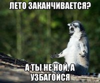 лето заканчивается? а ты не ной, а узбагойся