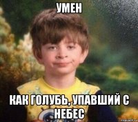 умен как голубь, упавший с небес