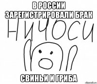 в россии зарегистрировали брак свиньи и гриба