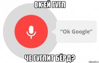 ok'ей гугл че гуглит бёрд?