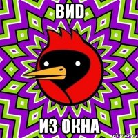 виd из окна